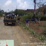 IMG-20260731-WA0015(1)